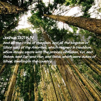 Picture 02 - Joshua 13:21 KJV - And all the cities of the plain, and all the - Bible Verse Picture