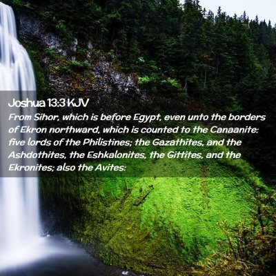 Picture 02 - Joshua 13:3 KJV - From Sihor, which is before Egypt, even unto the - Bible Verse Picture