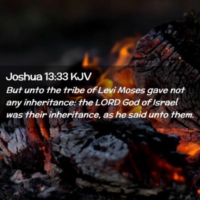 Picture 02 - Joshua 13:33 KJV - But unto the tribe of Levi Moses gave not any - Bible Verse Picture