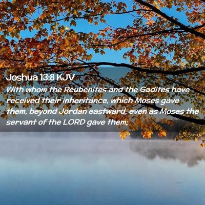 Picture 02 - Joshua 13:8 KJV - With whom the Reubenites and the Gadites have - Bible Verse Picture