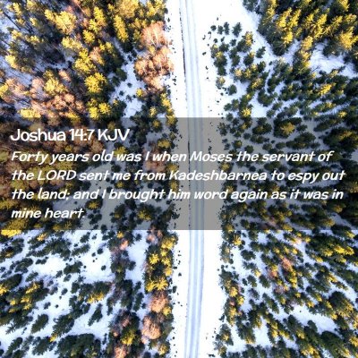 Picture 02 - Joshua 14:7 KJV - Forty years old was I when Moses the servant of - Bible Verse Picture