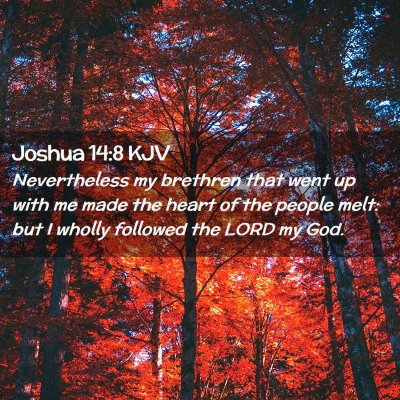 Picture 02 - Joshua 14:8 KJV - Nevertheless my brethren that went up with me - Bible Verse Picture