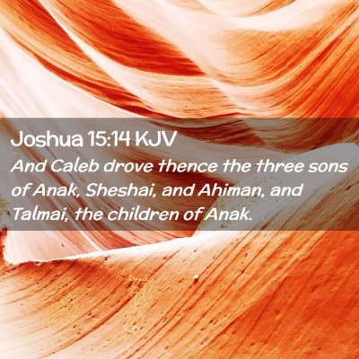 Picture 02 - Joshua 15:14 KJV - And Caleb drove thence the three sons of Anak, - Bible Verse Picture
