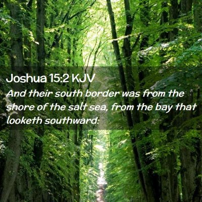 Picture 02 - Joshua 15:2 KJV - And their south border was from the shore of the - Bible Verse Picture