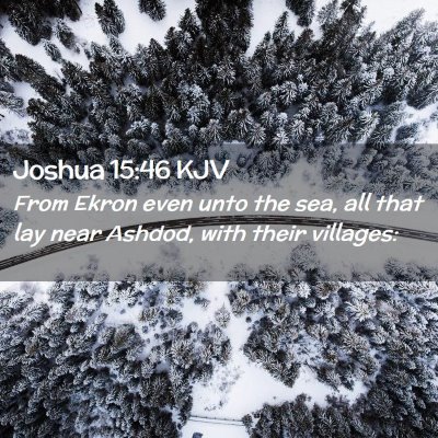 Picture 02 - Joshua 15:46 KJV - From Ekron even unto the sea, all that lay near - Bible Verse Picture