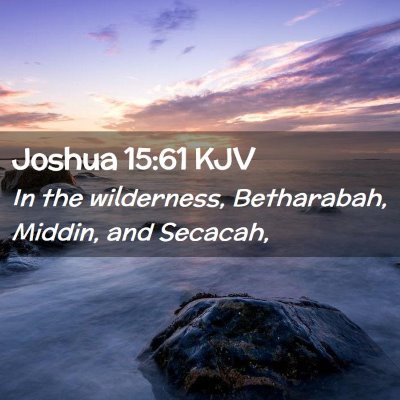 Picture 02 - Joshua 15:61 KJV - In the wilderness, Betharabah, Middin, and - Bible Verse Picture