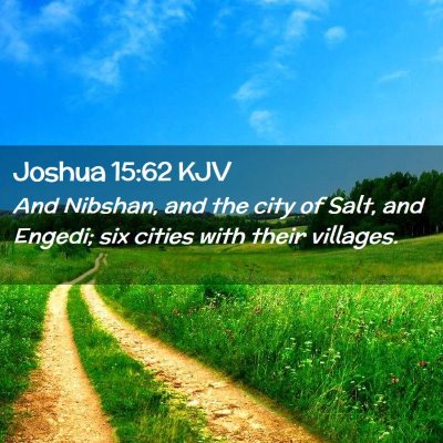 Picture 02 - Joshua 15:62 KJV - And Nibshan, and the city of Salt, and Engedi; - Bible Verse Picture