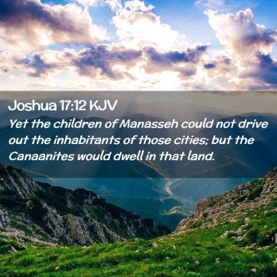 Picture 02 - Joshua 17:12 KJV - Yet the children of Manasseh could not drive out - Bible Verse Picture