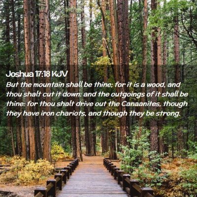 Picture 02 - Joshua 17:18 KJV - But the mountain shall be thine; for it is a - Bible Verse Picture