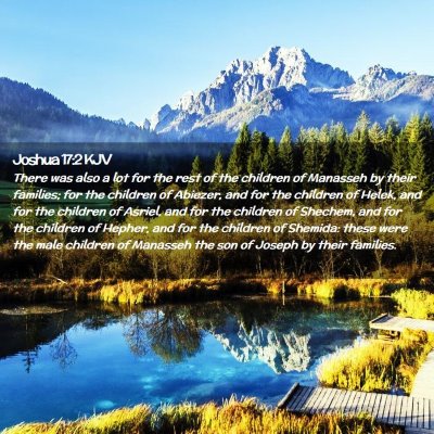 Picture 02 - Joshua 17:2 KJV - There was also a lot for the rest of the children - Bible Verse Picture
