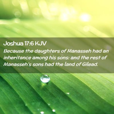 Picture 02 - Joshua 17:6 KJV - Because the daughters of Manasseh had an - Bible Verse Picture