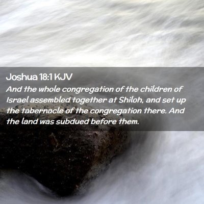 Picture 02 - Joshua 18:1 KJV - And the whole congregation of the children of - Bible Verse Picture