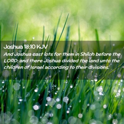 Picture 02 - Joshua 18:10 KJV - And Joshua cast lots for them in Shiloh before - Bible Verse Picture