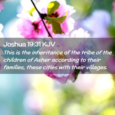 Picture 02 - Joshua 19:31 KJV - This is the inheritance of the tribe of the - Bible Verse Picture