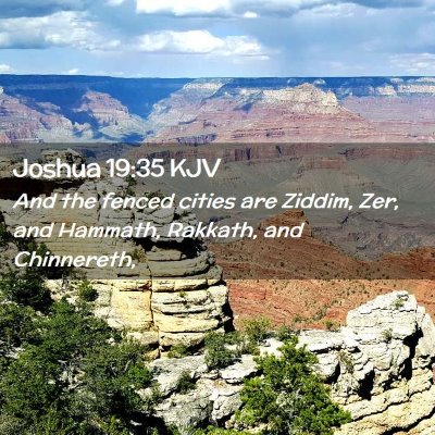 Picture 02 - Joshua 19:35 KJV - And the fenced cities are Ziddim, Zer, and - Bible Verse Picture