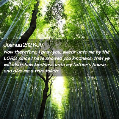 Picture 02 - Joshua 2:12 KJV - Now therefore, I pray you, swear unto me by the - Bible Verse Picture