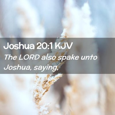 Picture 02 - Joshua 20:1 KJV - The LORD also spake unto Joshua, - Bible Verse Picture