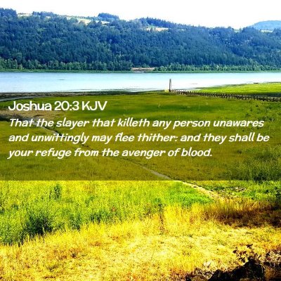 Picture 02 - Joshua 20:3 KJV - That the slayer that killeth any person unawares - Bible Verse Picture