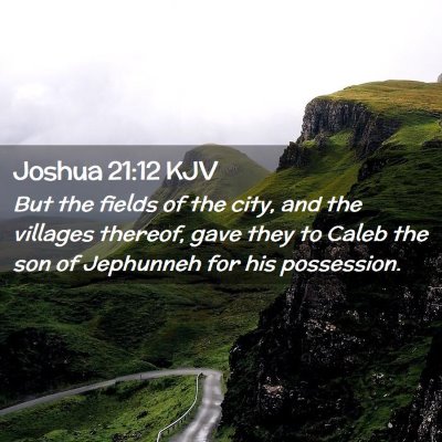 Picture 02 - Joshua 21:12 KJV - But the fields of the city, and the villages - Bible Verse Picture