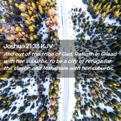 Picture 02 - Joshua 21:38 KJV - And out of the tribe of Gad, Ramoth in Gilead - Bible Verse Picture