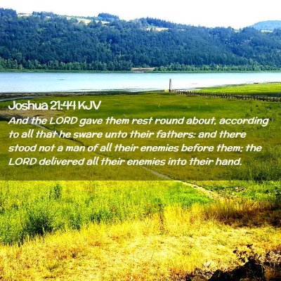 Picture 02 - Joshua 21:44 KJV - And the LORD gave them rest round about, - Bible Verse Picture