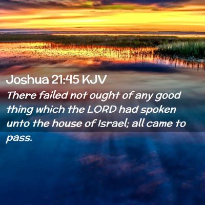 Picture 02 - Joshua 21:45 KJV - There failed not ought of any good thing which - Bible Verse Picture