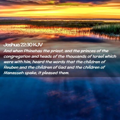 Picture 02 - Joshua 22:30 KJV - And when Phinehas the priest, and the princes of - Bible Verse Picture