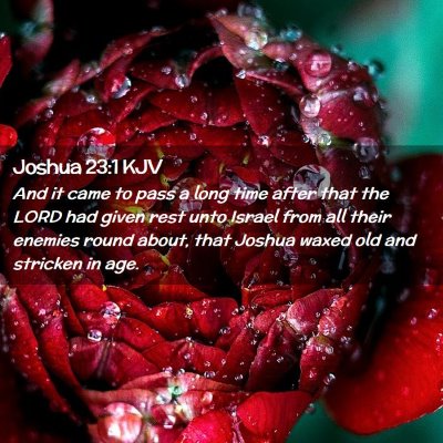 Picture 02 - Joshua 23:1 KJV - And it came to pass a long time after that the - Bible Verse Picture