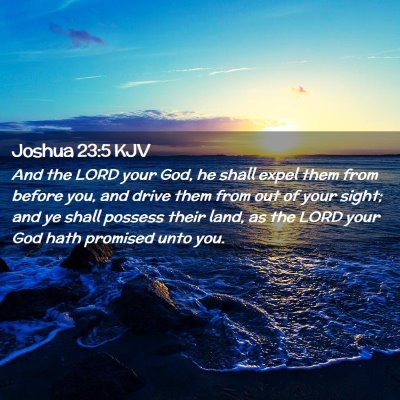 Picture 02 - Joshua 23:5 KJV - And the LORD your God, he shall expel them from - Bible Verse Picture