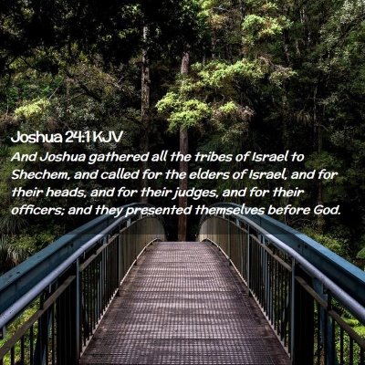 Picture 02 - Joshua 24:1 KJV - And Joshua gathered all the tribes of Israel to - Bible Verse Picture
