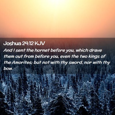 Picture 02 - Joshua 24:12 KJV - And I sent the hornet before you, which drave - Bible Verse Picture