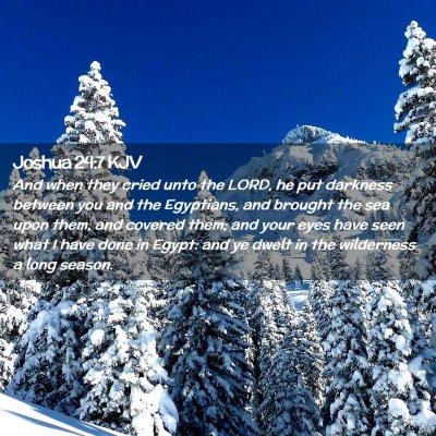 Picture 02 - Joshua 24:7 KJV - And when they cried unto the LORD, he put - Bible Verse Picture