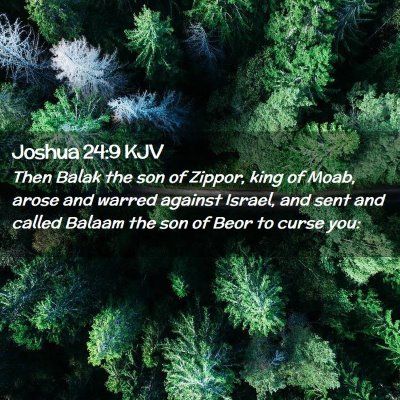 Picture 02 - Joshua 24:9 KJV - Then Balak the son of Zippor, king of Moab, arose - Bible Verse Picture
