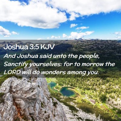 Picture 02 - Joshua 3:5 KJV - And Joshua said unto the people, Sanctify - Bible Verse Picture