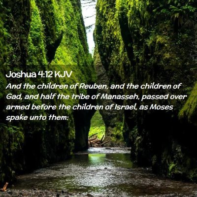 Picture 02 - Joshua 4:12 KJV - And the children of Reuben, and the children of - Bible Verse Picture