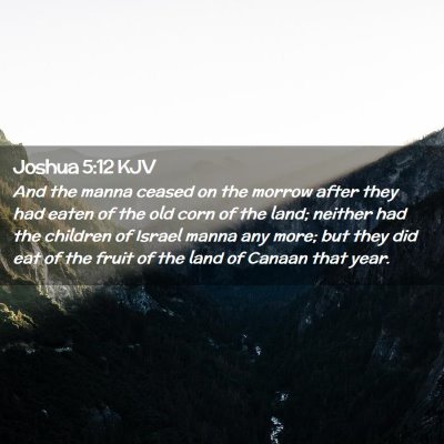 Picture 02 - Joshua 5:12 KJV - And the manna ceased on the morrow after they had - Bible Verse Picture
