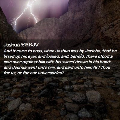 Picture 02 - Joshua 5:13 KJV - And it came to pass, when Joshua was by Jericho, - Bible Verse Picture