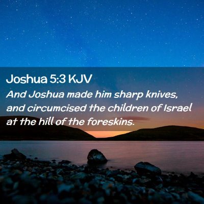 Picture 02 - Joshua 5:3 KJV - And Joshua made him sharp knives, and circumcised - Bible Verse Picture