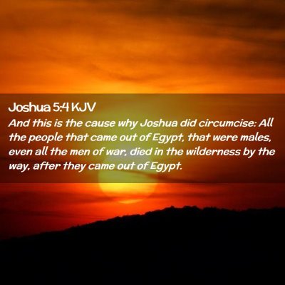 Picture 02 - Joshua 5:4 KJV - And this is the cause why Joshua did circumcise: - Bible Verse Picture