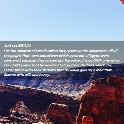 Picture 02 - Joshua 5:6 KJV - For the children of Israel walked forty years in - Bible Verse Picture