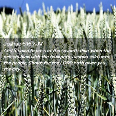 Picture 02 - Joshua 6:16 KJV - And it came to pass at the seventh time, when the - Bible Verse Picture