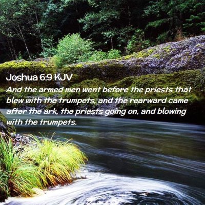 Picture 02 - Joshua 6:9 KJV - And the armed men went before the priests that - Bible Verse Picture