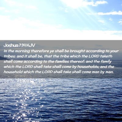 Picture 02 - Joshua 7:14 KJV - In the morning therefore ye shall be brought - Bible Verse Picture