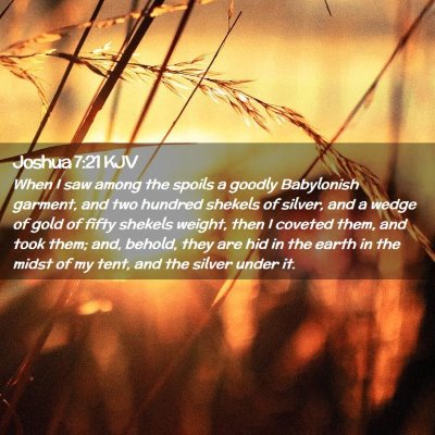 Picture 02 - Joshua 7:21 KJV - When I saw among the spoils a goodly Babylonish - Bible Verse Picture