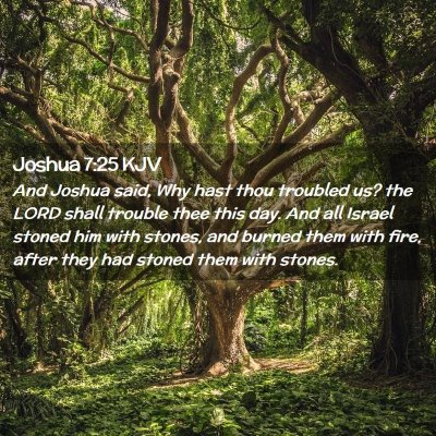 Picture 02 - Joshua 7:25 KJV - And Joshua said, Why hast thou troubled us? the - Bible Verse Picture