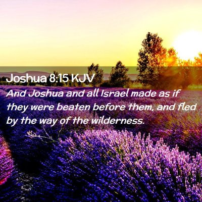 Picture 02 - Joshua 8:15 KJV - And Joshua and all Israel made as if they were - Bible Verse Picture