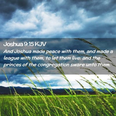 Picture 02 - Joshua 9:15 KJV - And Joshua made peace with them, and made a - Bible Verse Picture