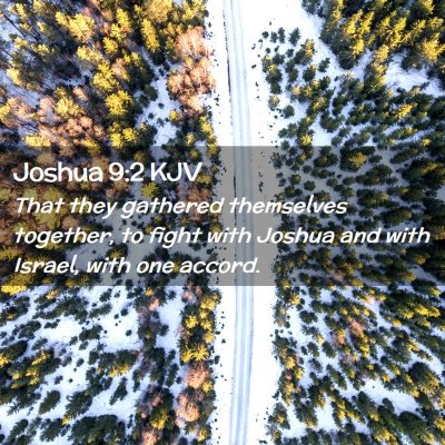 Picture 02 - Joshua 9:2 KJV - That they gathered themselves together, to fight - Bible Verse Picture