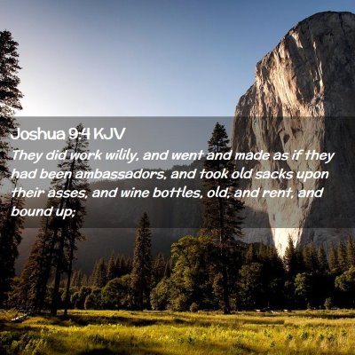 Picture 02 - Joshua 9:4 KJV - They did work wilily, and went and made as if - Bible Verse Picture