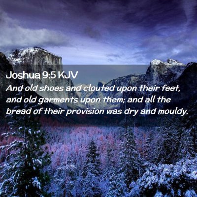 Picture 02 - Joshua 9:5 KJV - And old shoes and clouted upon their feet, and - Bible Verse Picture